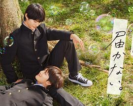 蜜糖手机视频海报剧照