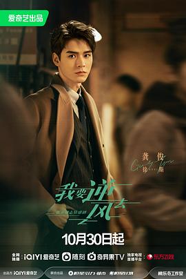 日本爱的曝光在线海报剧照